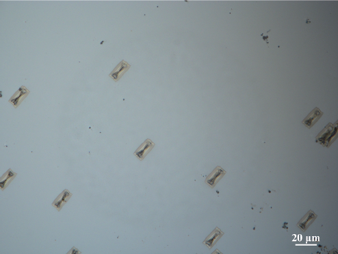 1732092741145465.png 圖片 47.png